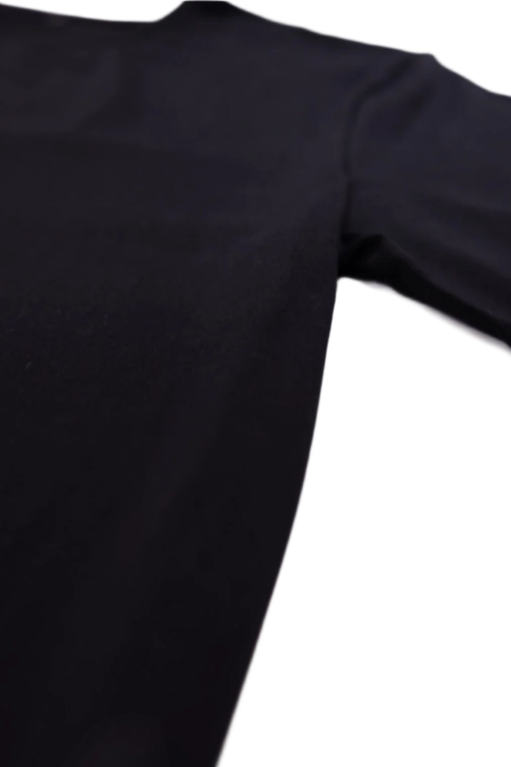 Lion Crest "Kyōryokuna" Performance Tee