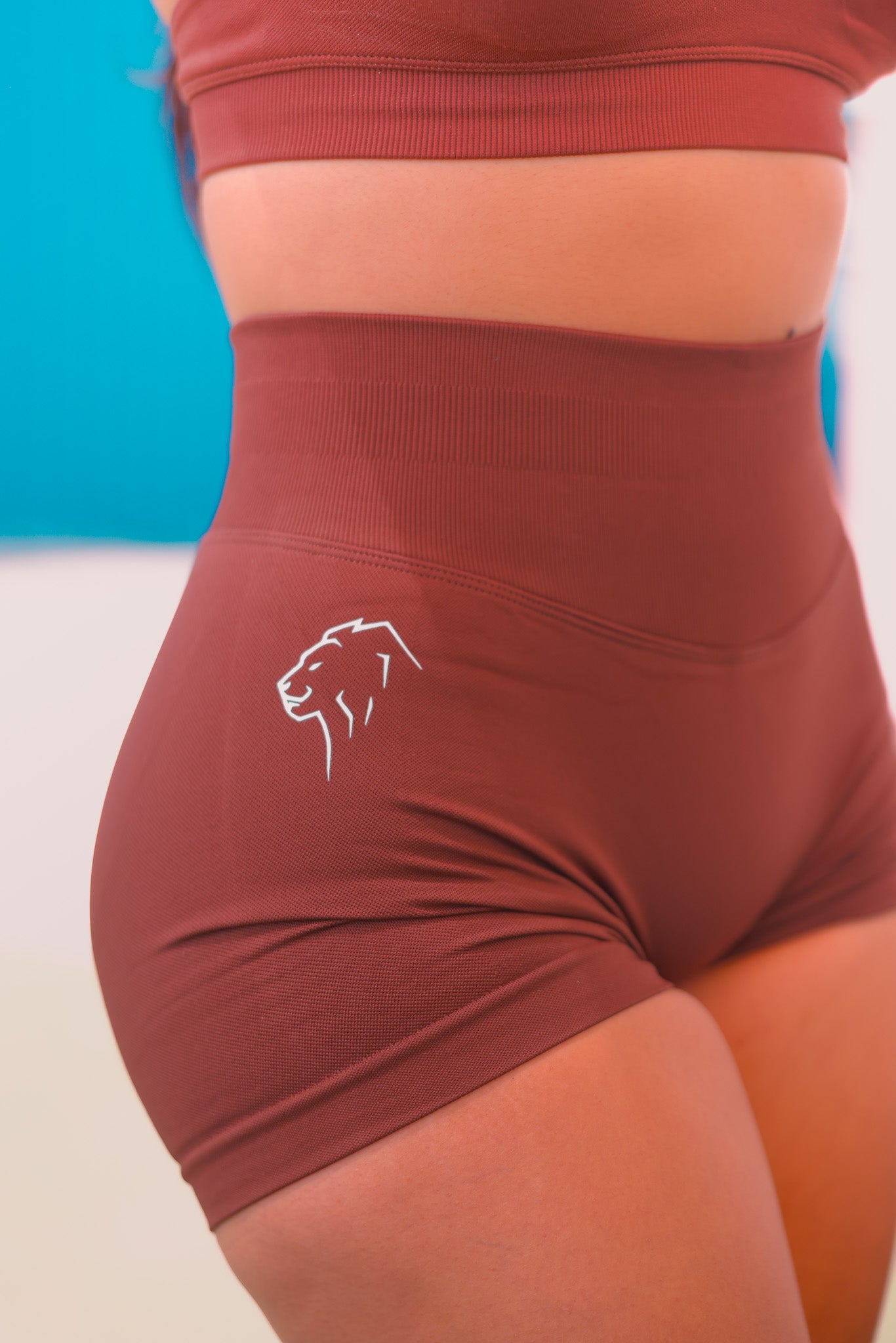 Lioness Shorts  Set 4.5"