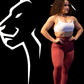 Sculpt Leggings Maroon