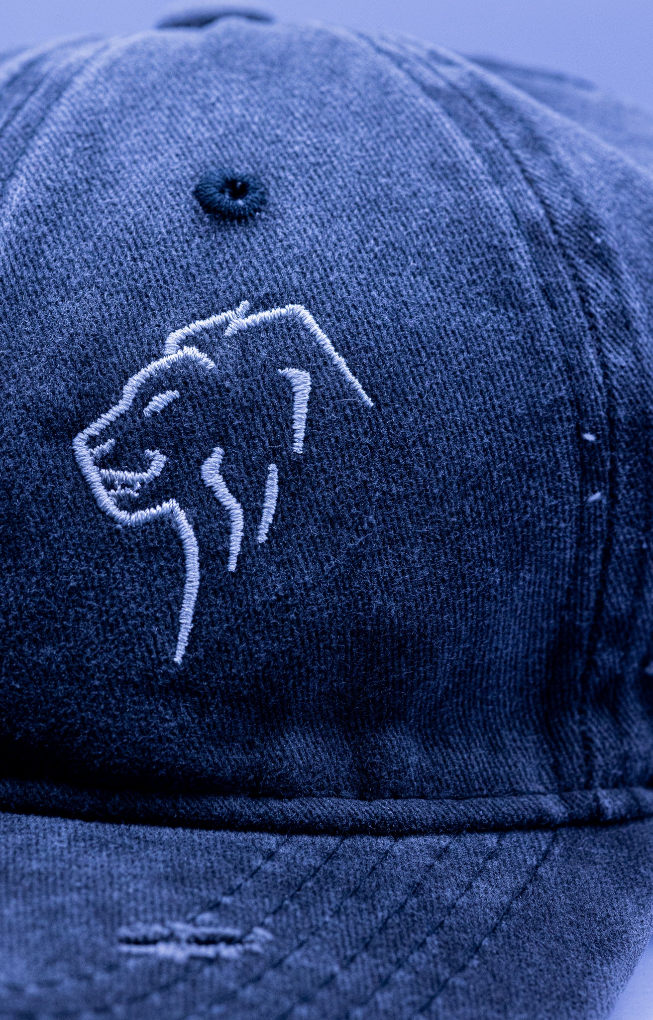 Jean Hat – Lion Athletics Crest